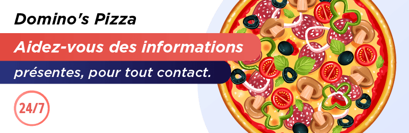 telephone dominos pizza