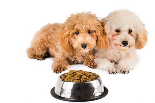 Flatazor nutrition animale