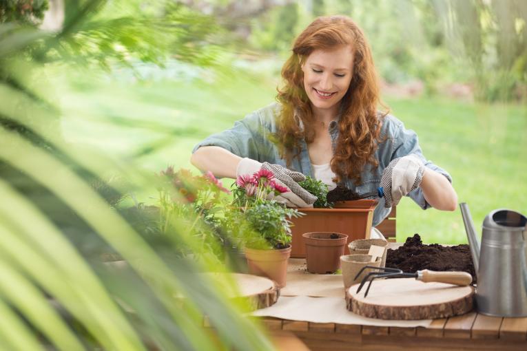 Matériel de jardinage du SMAF TOUSEAU