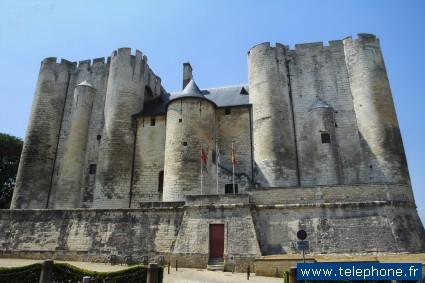 le donjon de Niort