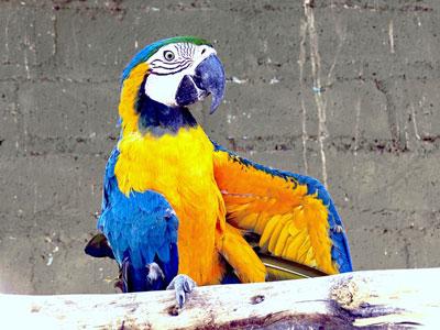 contacter zooplus