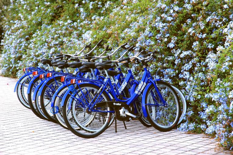 Location de vélos à Zilok