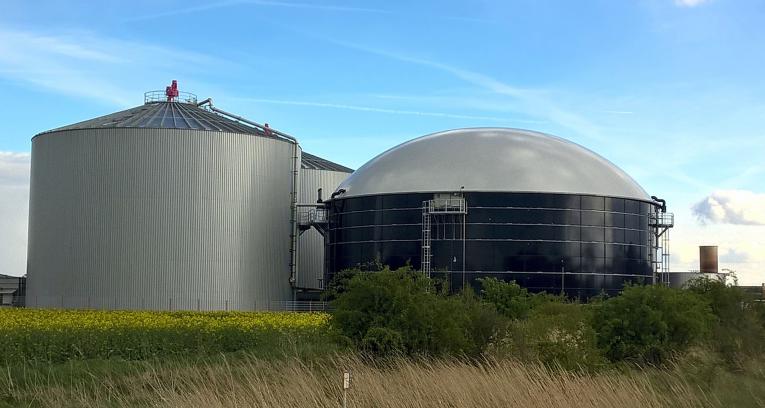 Usine de biomasse de Dalkia