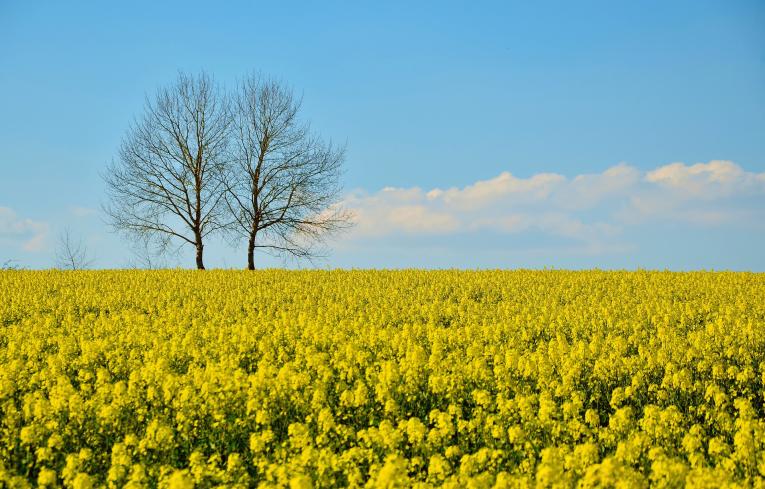 Invivo, groupe coopératif agricole