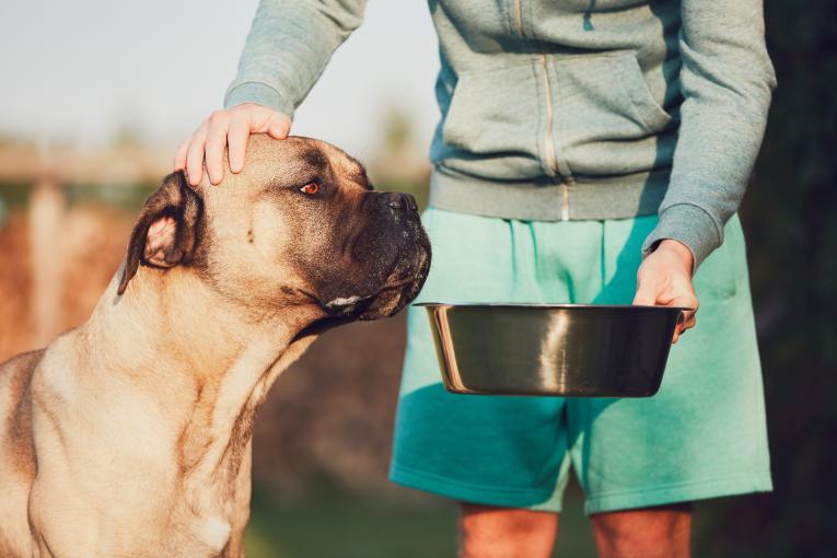 Nourrir les animaux, Purina