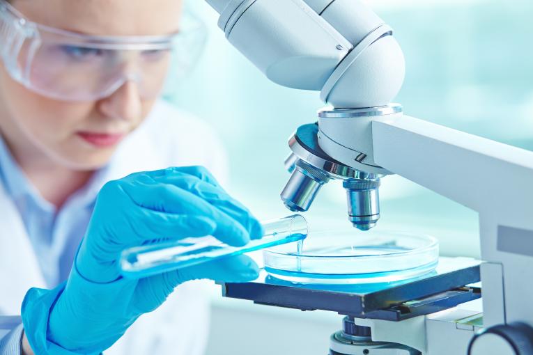 Laboratoires de Pierre Fabre