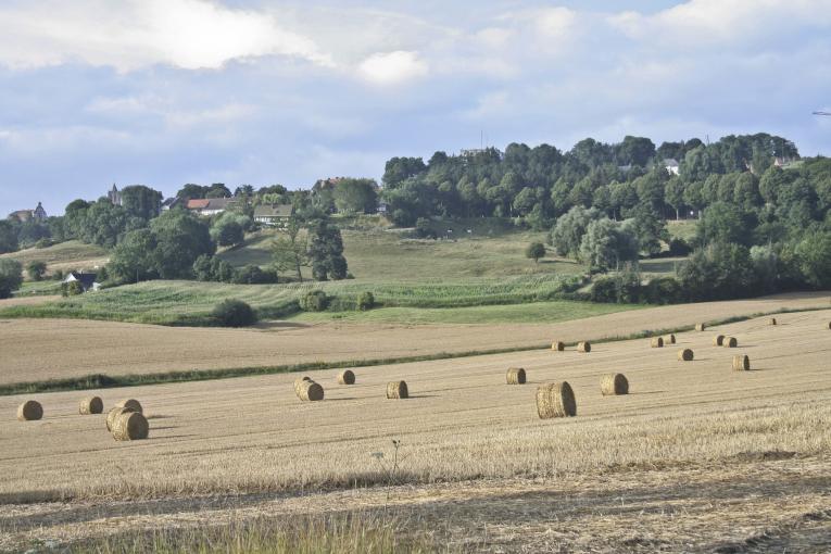 Environs de la ville de Cassel