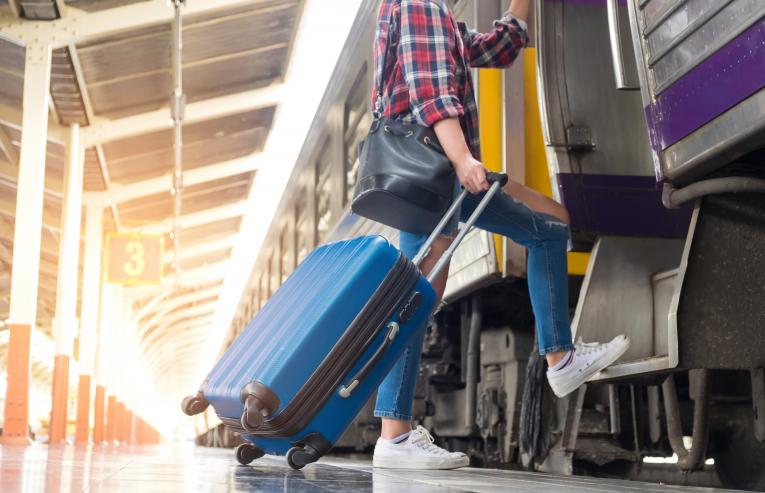 Valise Delsey
