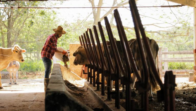 Groupe Roullier, nutrition animale