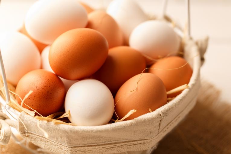 Œufs de poule de la société Matines