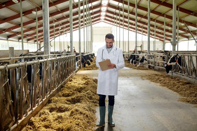 Elevage et nutrition de jeunes animaux Denkavit
