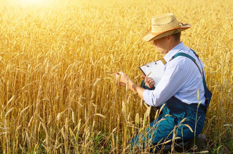 Agriculture, UCAL