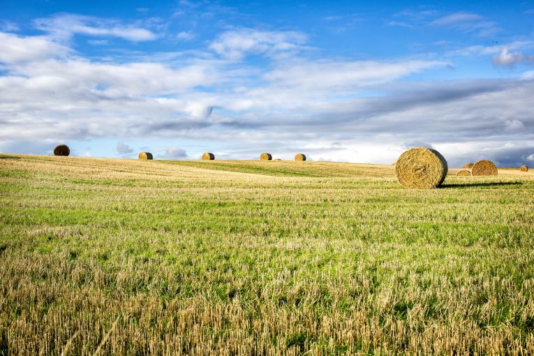 Solutions pour le secteur agricole du groupe Agrica