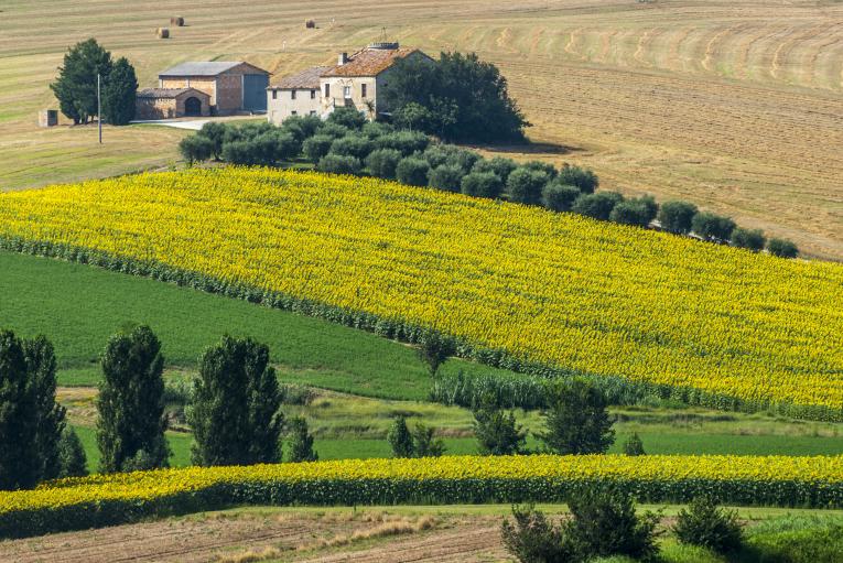 Matières premières agricoles de la société Louis Dreyfus