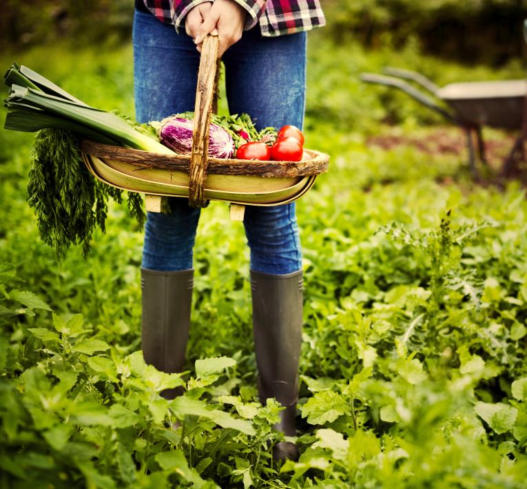 Cargill France, matières premières agricoles