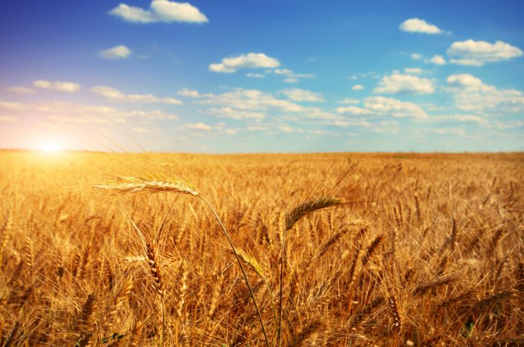 Coopérative Agricole Axereal