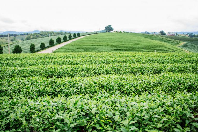 FMC Agricultural Solutions