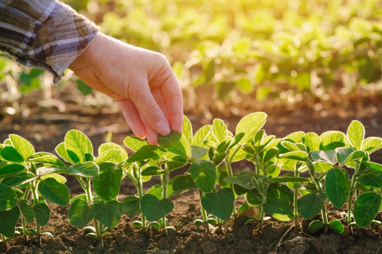 Agroalimentaire d’Euralis