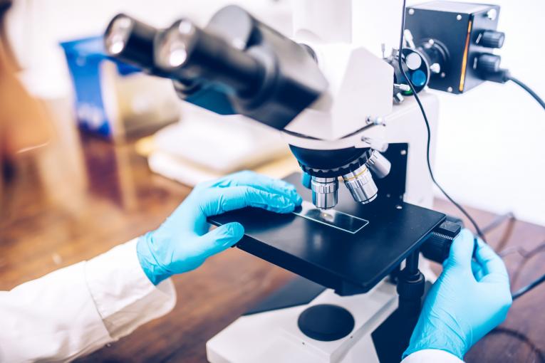 Diagnostic microbiologique de Biomérieux