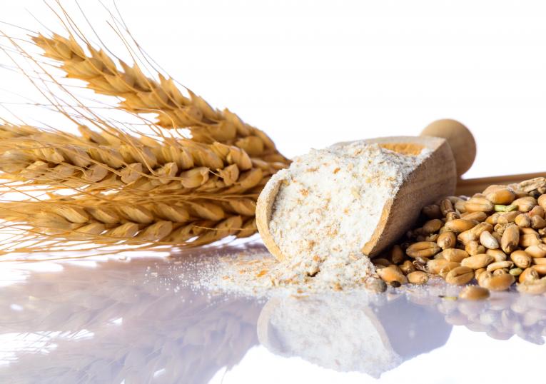 Nutrixo, secteur agroalimentaire