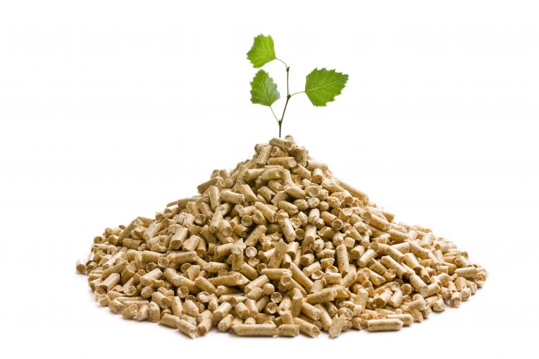 Chauffage écologique avec Normandie Eco Combustibles
