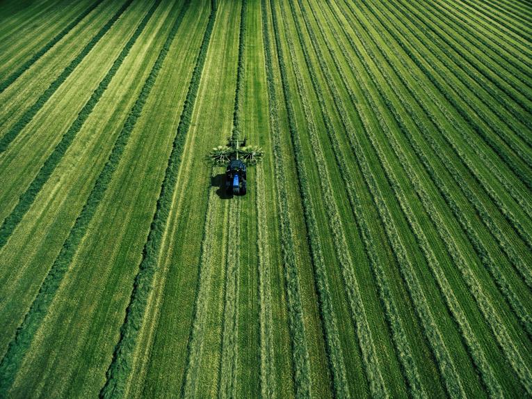 Groupe coopératif agricole Scael