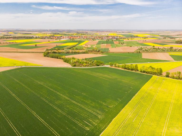 Groupe coopératif agricole Lur Berri