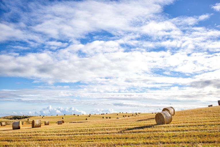 Groupe Advitam, groupe coopératif agricole