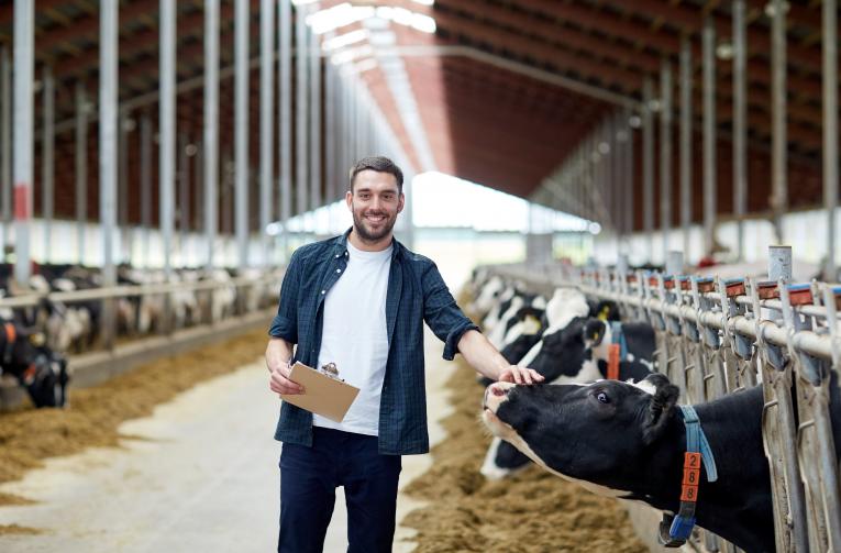 Maitres Laitiers, spécialiste du secteur laitier