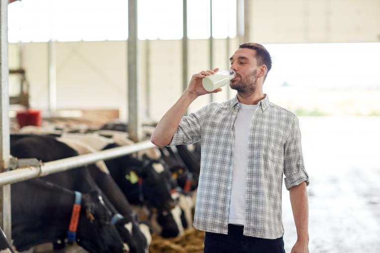 Ingredia, spécialisée dans les produits laitiers