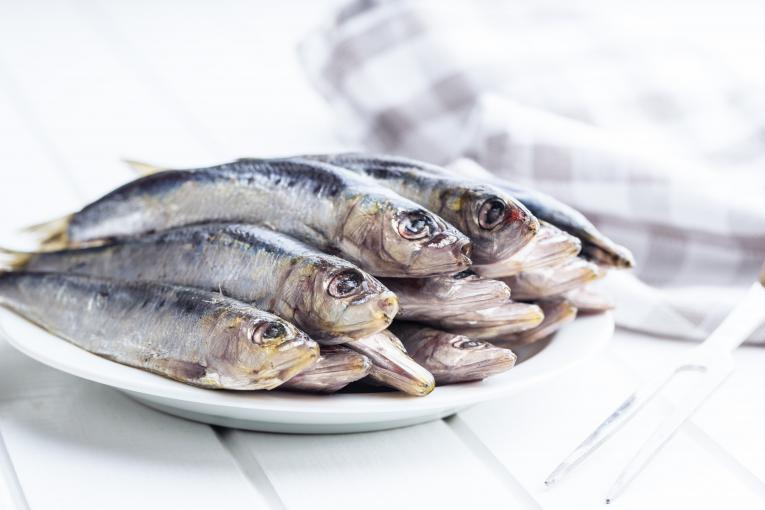 Produits de fruits de mer de Seafoodia